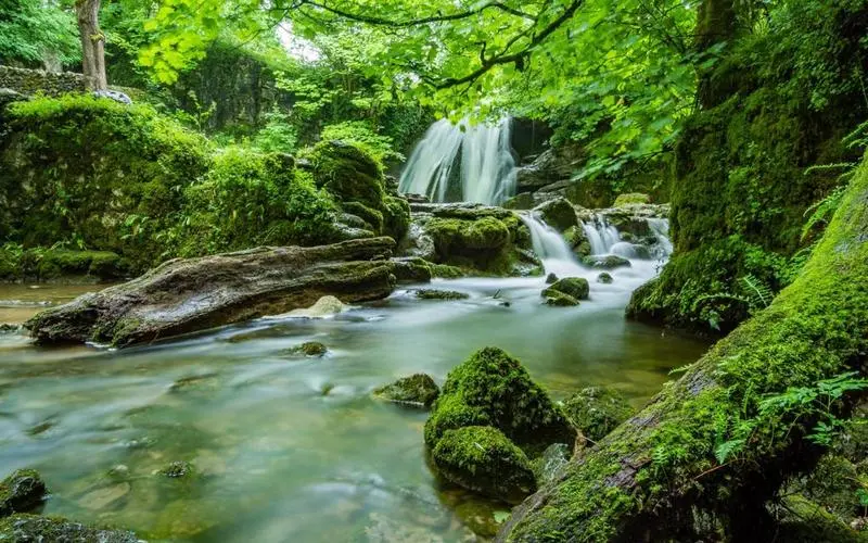 科技可靠性